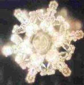 cristaux d'eau après réception de fréquences d'amour par la musique ou la voix cristaux d'eau après réception de fréquences d'amour par la musique ou la voix