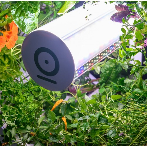 Roue de jardin OGarden Smart blanche – Image 4