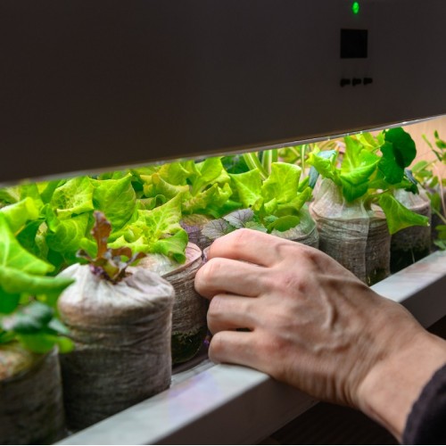 Roue de jardin OGarden Smart blanche – Image 5