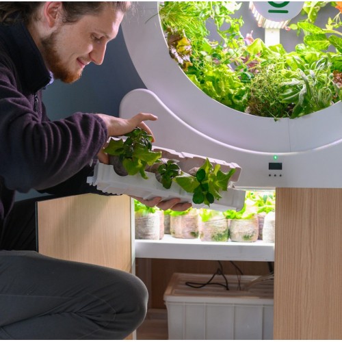 Roue de jardin OGarden Smart blanche – Image 6