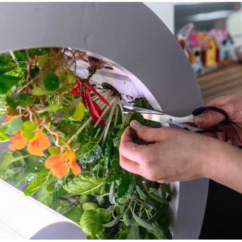 Roue de jardin OGarden Smart blanche – Image 8