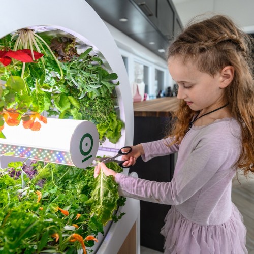 Roue de jardin OGarden Smart blanche – Image 9