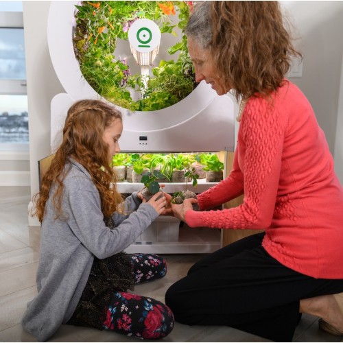 Roue de jardin OGarden Smart blanche – Image 10