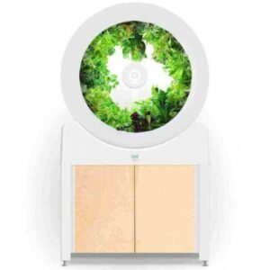 Roue de jardin OGarden Smart blanche