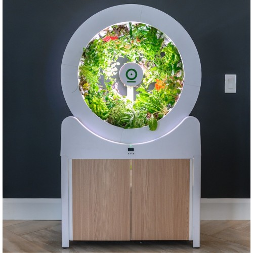 Roue de jardin OGarden Smart blanche – Image 3