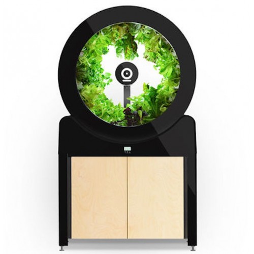 Roue de jardin OGarden Smart blanche – Image 2