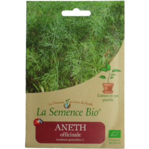 Semence Aneth Officinale Bio