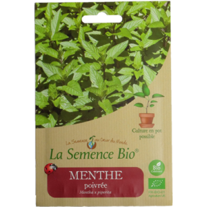 Semence Menthe Poivrée Bio
