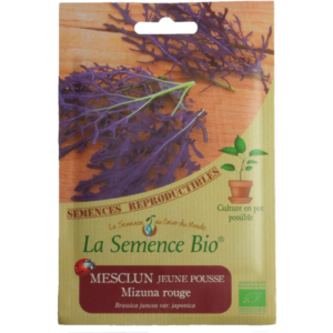 Semence Mesclun Bio