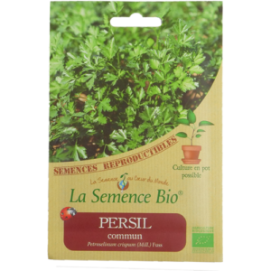 Semence Persil Bio