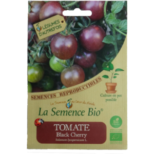Semence Tomate Bio