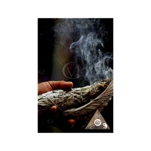 Baton de Sauge blanche purificatric