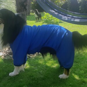 Body universel pour chiens Fibranova