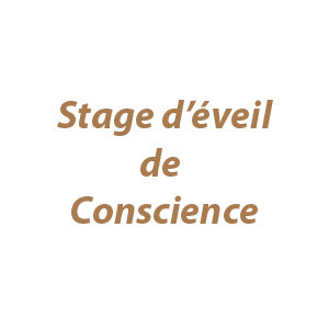 Stage-d-eveil-de-conscience