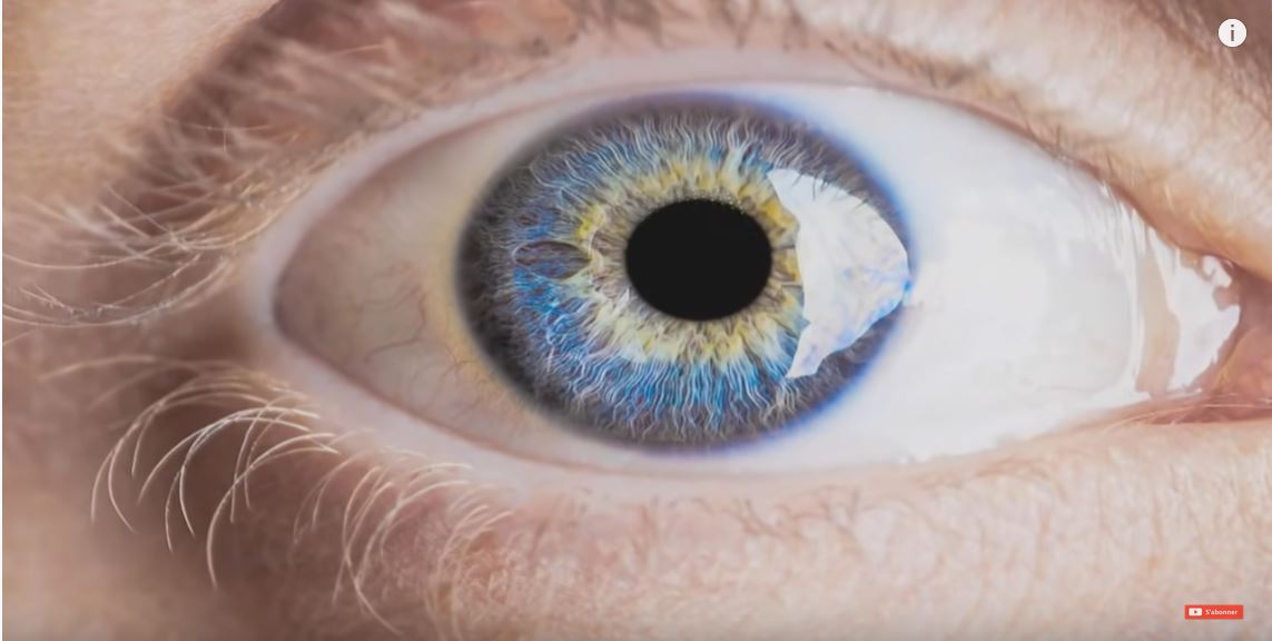 Soigner l&rsquo;alcoolisme et la dépression avec des psychédéliques